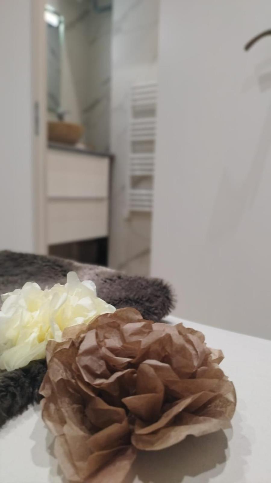Appartement Lumineux En Rdc بورْجْوا المظهر الخارجي الصورة